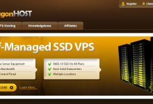 BandwagonHOST|搬瓦工|美国便宜vps测评|年付$17|1TB@1Gbps|解锁奈飞&TikTok&ChatGPT_六维终端