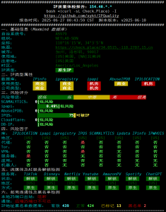 BitsFlowCloud洛杉矶高端CN2 VPS全面测评：三网直连+原生IP+超强性能插图4