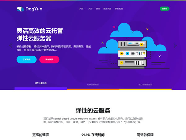 DogYun狗云：追加预售机型，重庆大带宽独立服务器￥250 /月，年付仅需192元/月，24核48线程/64g内存/960gSSD/100M带宽插图